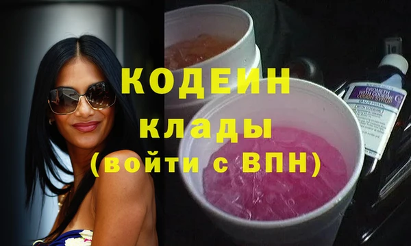 эйфоретик Алзамай