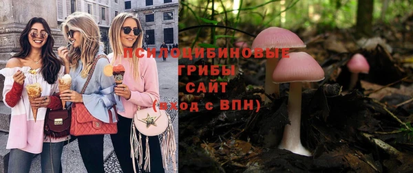 эйфоретик Алзамай